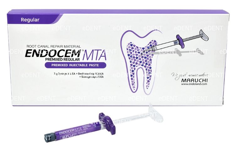 ENDOCEM MTA 근관 치료 재료